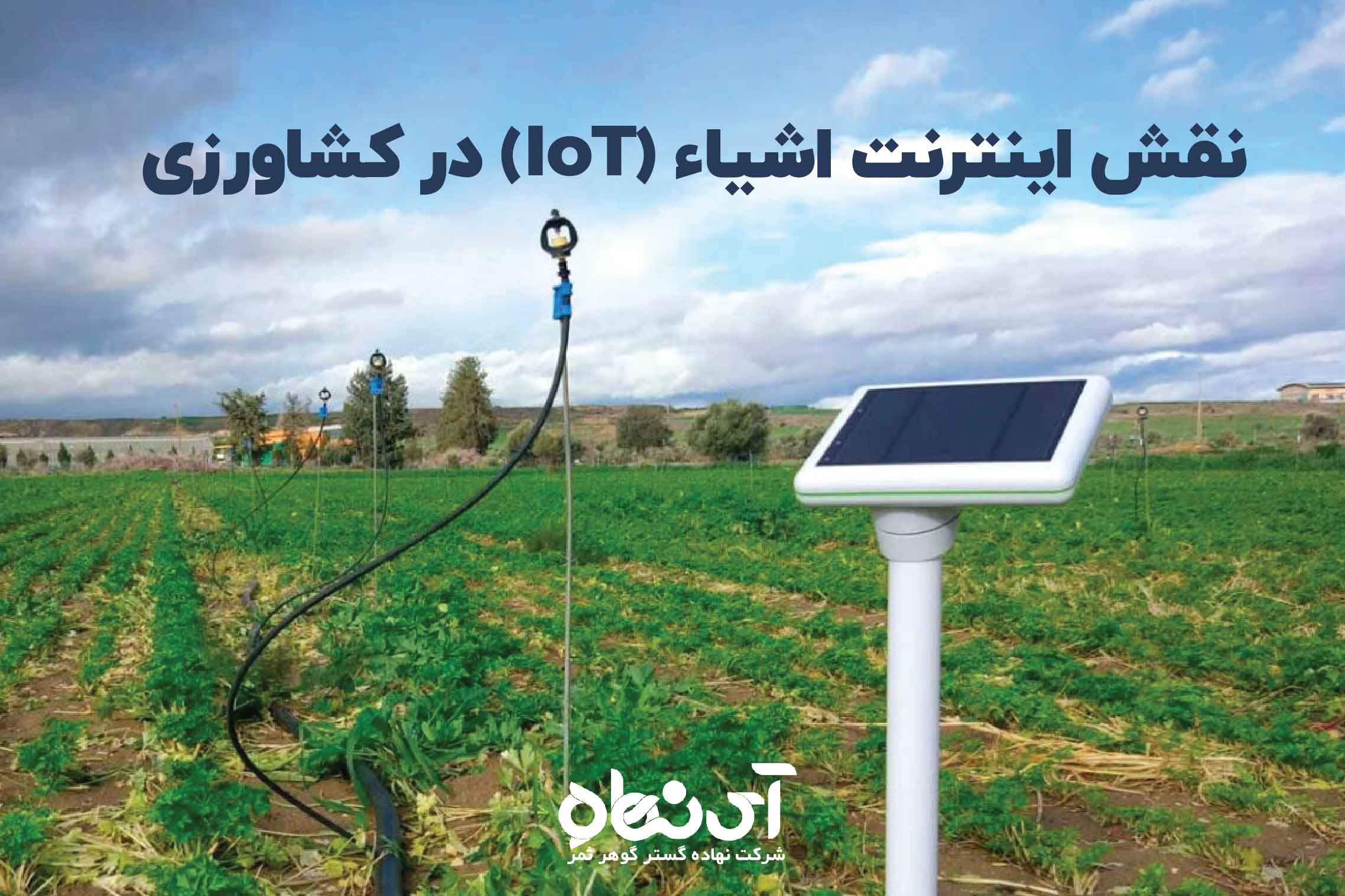 نقش اینترنت اشیاء (IoT) در کشاورزی